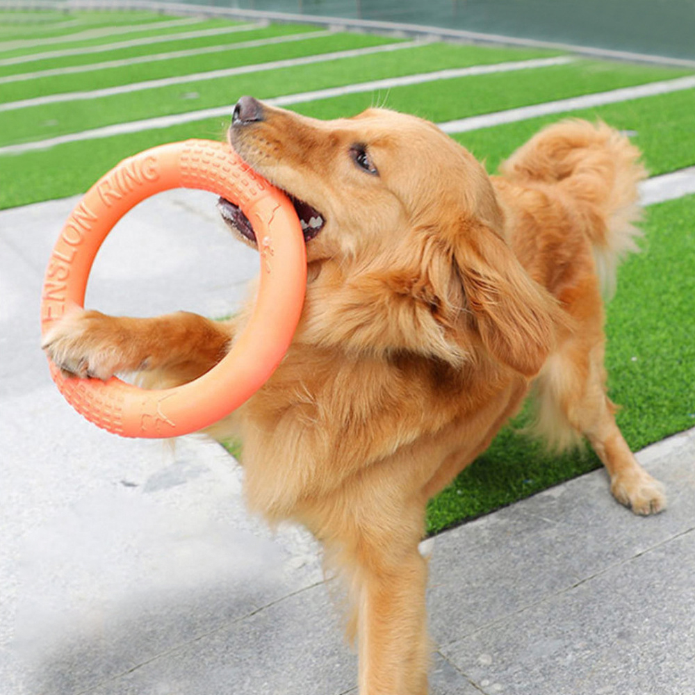 Flying Disc Dog Training Toy - 1pc Orange Dog Toys Pet Flying