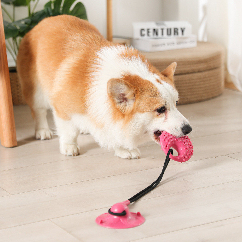 Suction Cup Dog Tug Toy - Dog Toys Silicon Suction Cup Tug