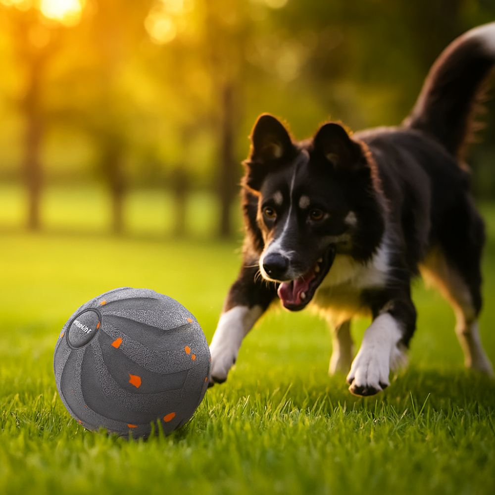 Interactive Squeaky Plush Dog Toy - Bite Resistant Smart Dog Toy Ball
