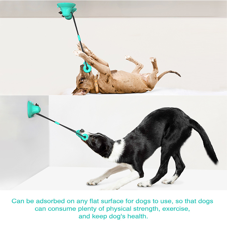 Suction Cup Dog Tug Toy - Dual Suction Cup Dog Chew Tug
