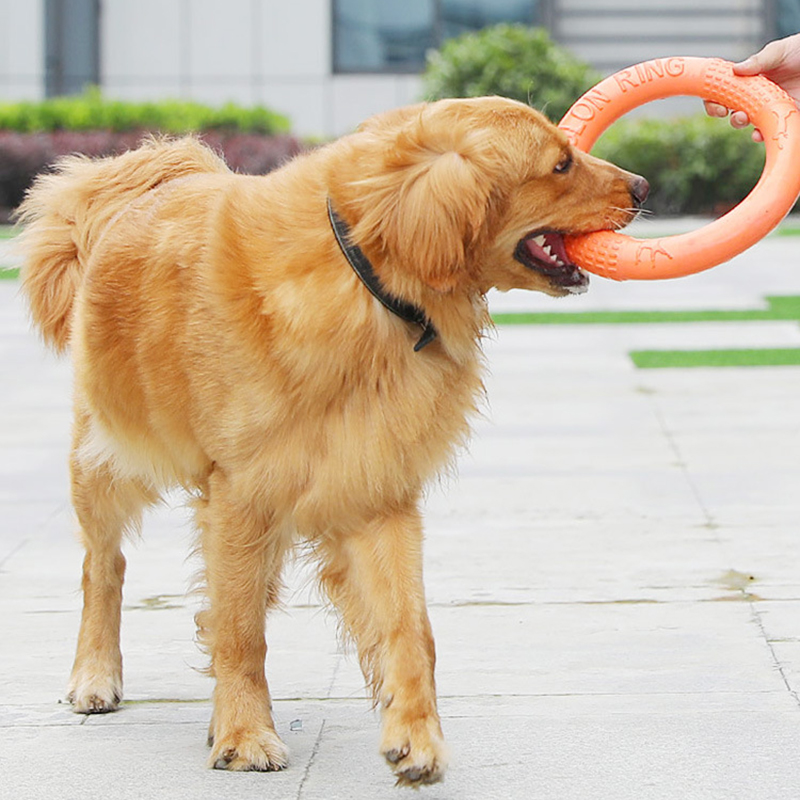 1pc Orange Dog Toys Pet Flying - Flying Disc Dog Training Toy 评论和价格