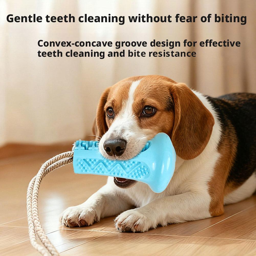 Suction Cup Dog Chew Toy Inter - Suction Cup Dog Tug Toy 评论和价格