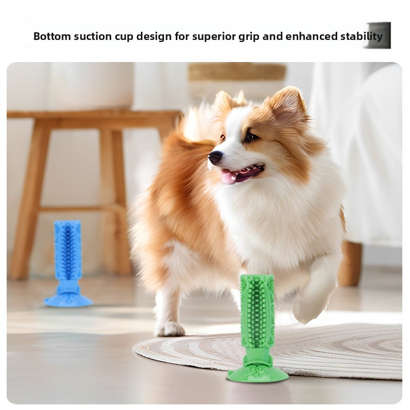 Dog Teeth Cleaning Chew Toy Su - Teeth Cleaning Dog Chew Bone 评论和价格