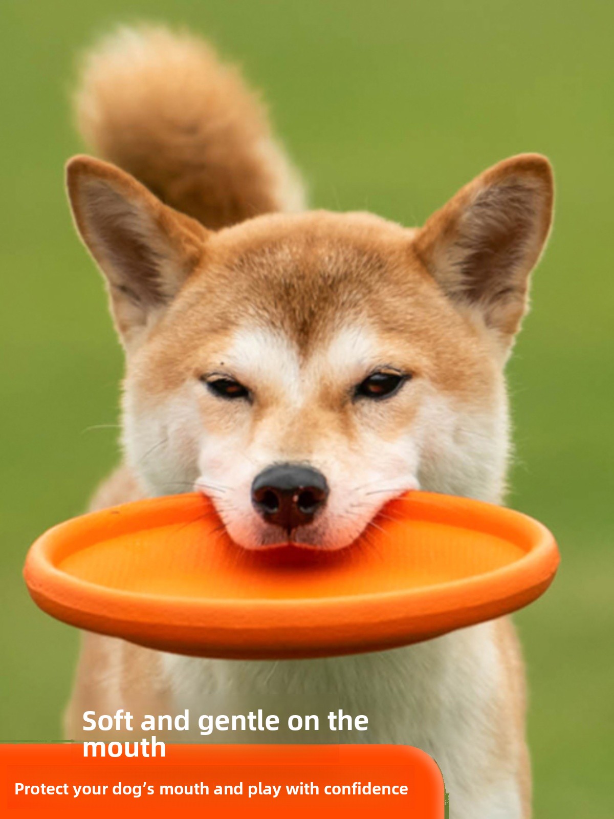 Dog Flying Disc Soft Durable B - Flying Disc Dog Training Toy 评论和价格
