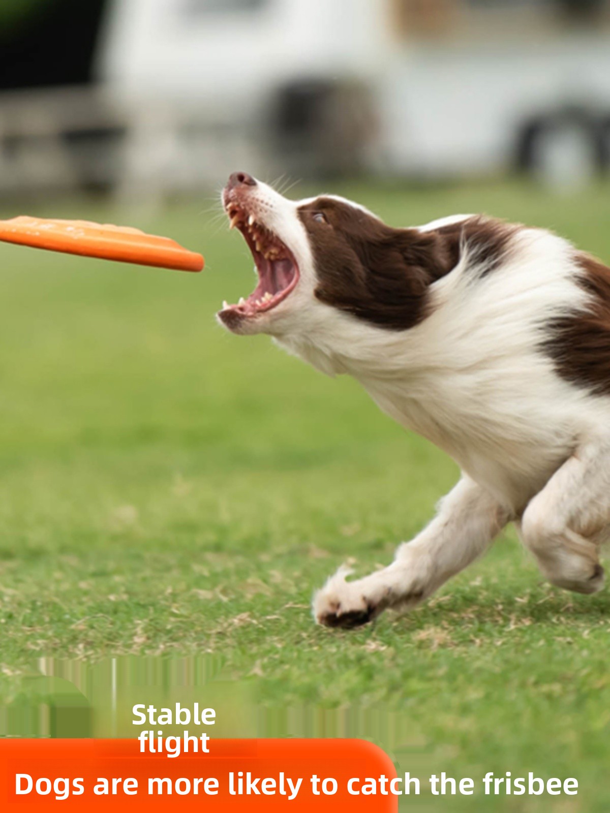 Dog Flying Disc Soft Durable B - Flying Disc Dog Training Toy 评论和价格
