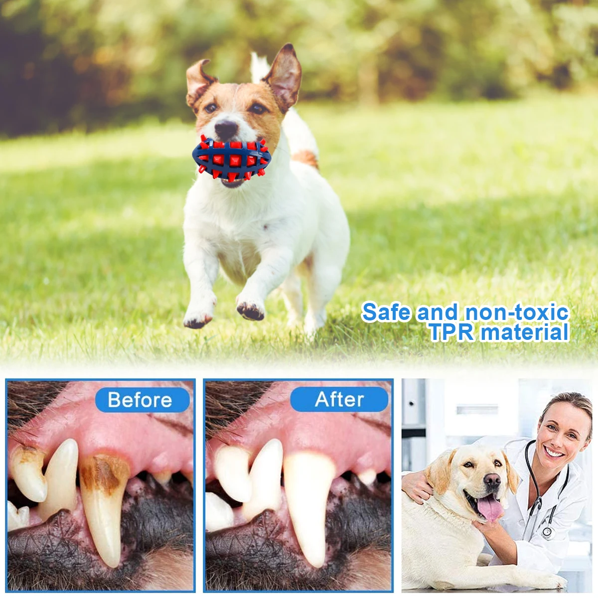 1/2Pcs Squeaky Dog Chew Toys I - Interactive Squeaky Plush Dog Toy 评论和价格