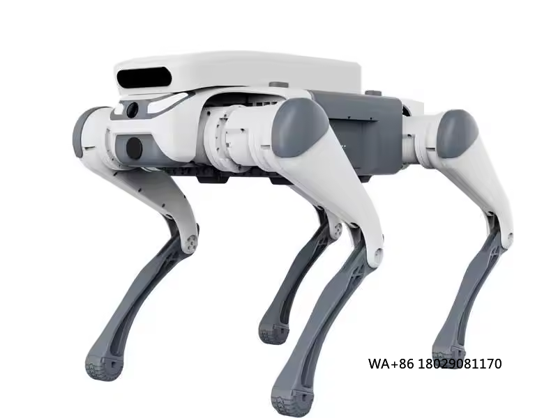 stunt remote control education - Dog Toys 评论和价格