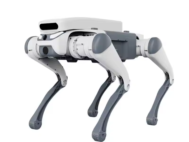 stunt remote control education - Dog Toys 评论和价格
