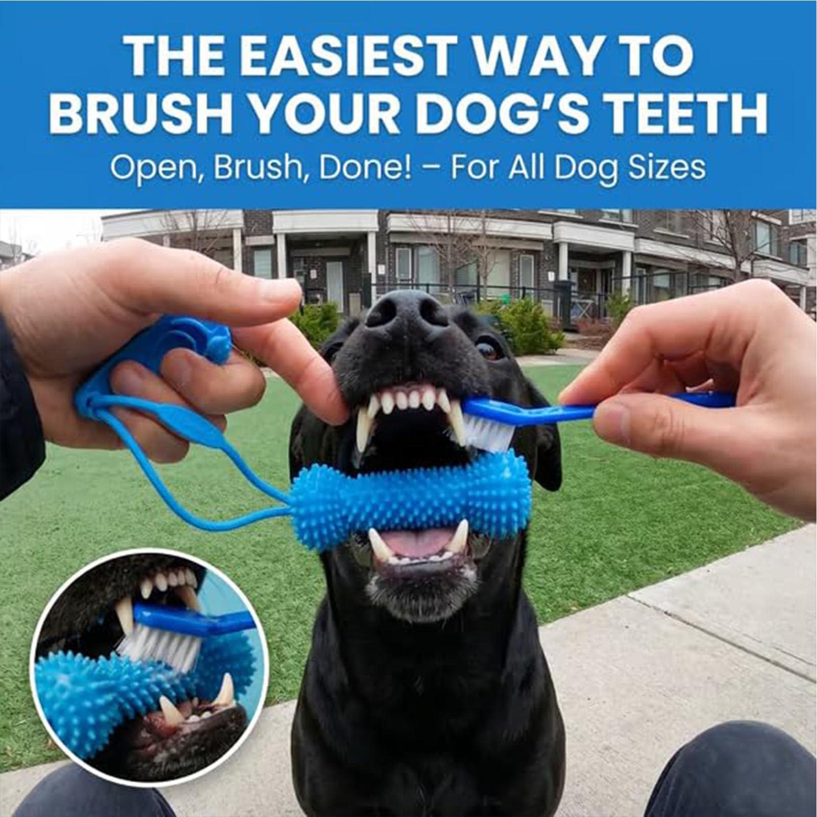 Dog Teething Toys Chewer Stick - Interactive Squeaky Plush Dog Toy 评论和价格