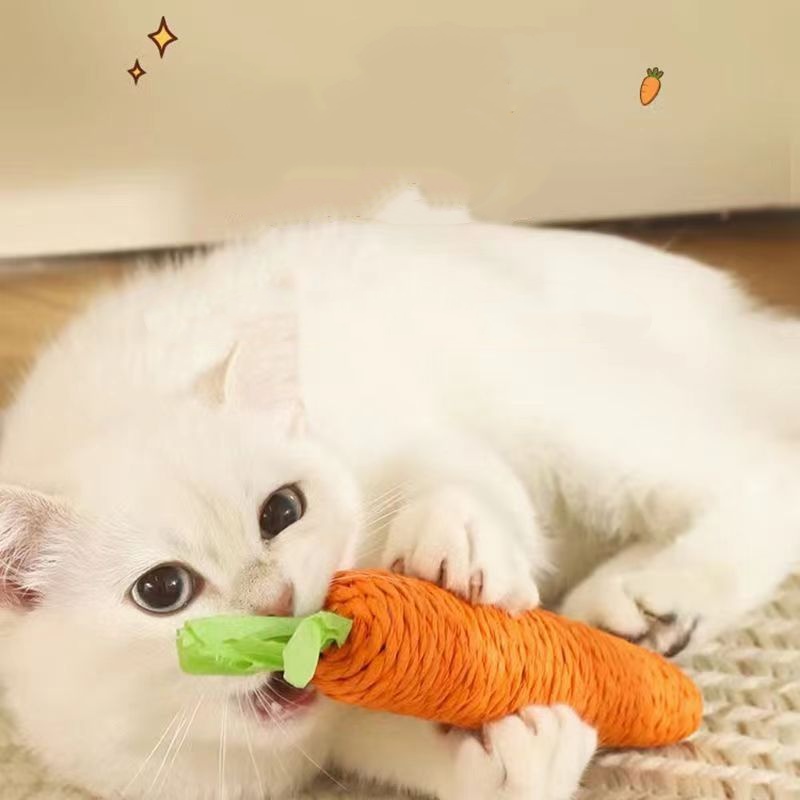 Fun Cat Teething Stick Sound C - Snuffle Mat For Dogs 评论和价格