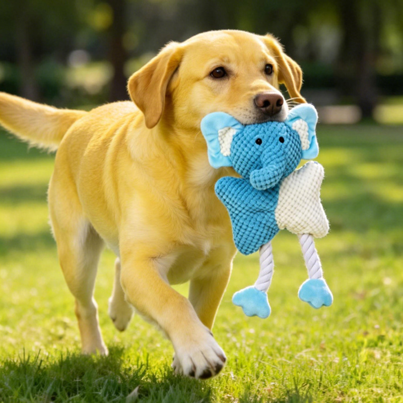 Hot sale Pet Sound Toys Dog Ch - Dog Toys 评论和价格