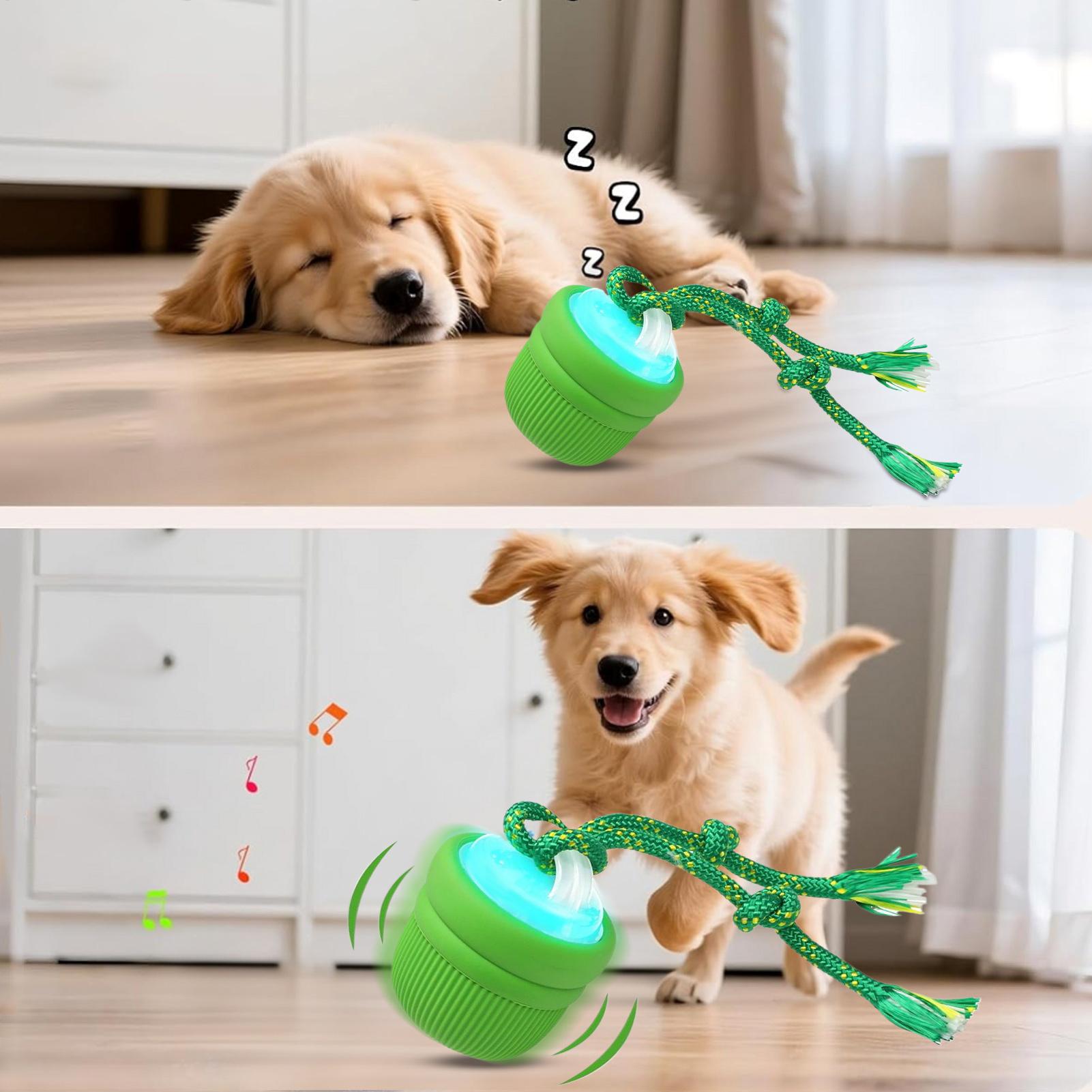 Interactive Dog Ball Automatic - Automatic Moving Dog Ball 评论和价格