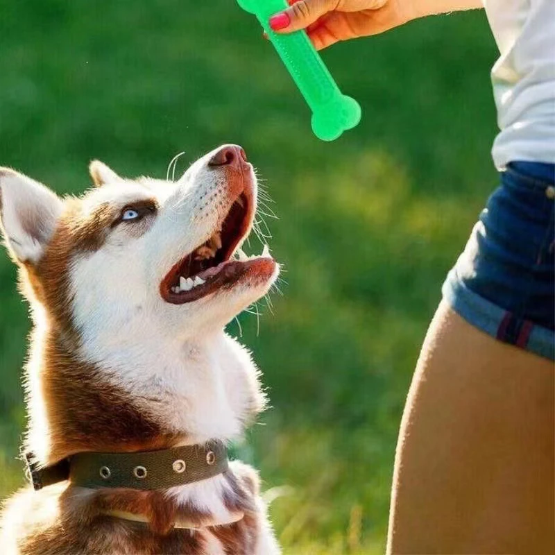 Super Tough Dog Bone Chew Toy  - Teeth Cleaning Dog Chew Bone 评论和价格