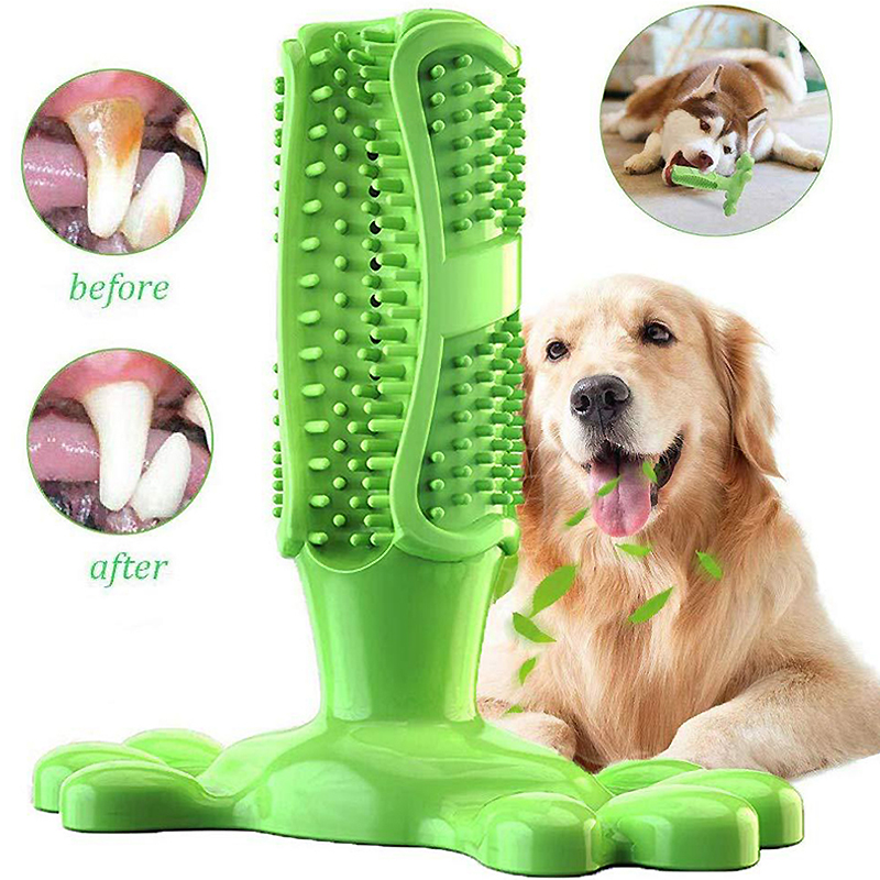 Pet Dog Cactus Interactive Rub - Rubber Treat Dispensing Dog Toy 评论和价格