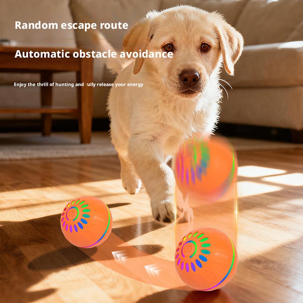 Smart Dog Toy Ball Automatic I - Automatic Moving Dog Ball 评论和价格