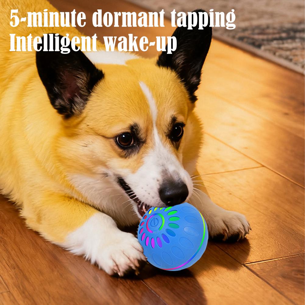 Smart Dog Toy Ball Automatic I - Automatic Moving Dog Ball 评论和价格