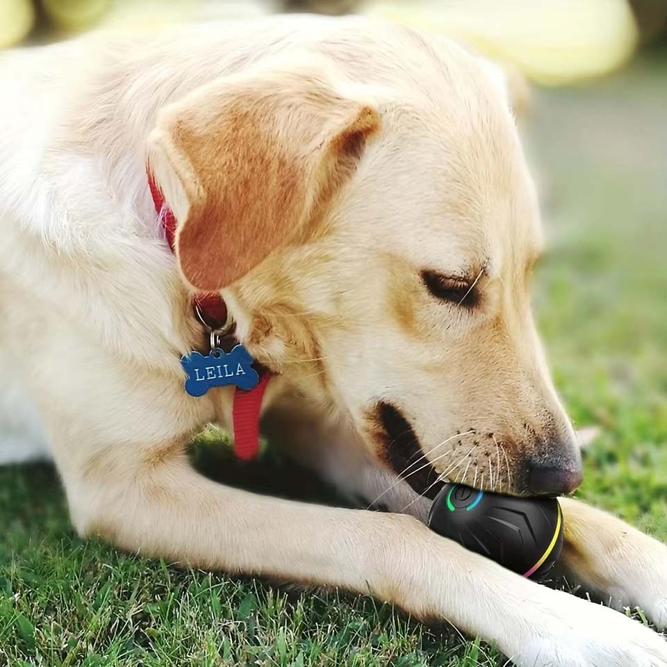 Interactive Smart Dogs Toys Ba - Automatic Moving Dog Ball 评论和价格
