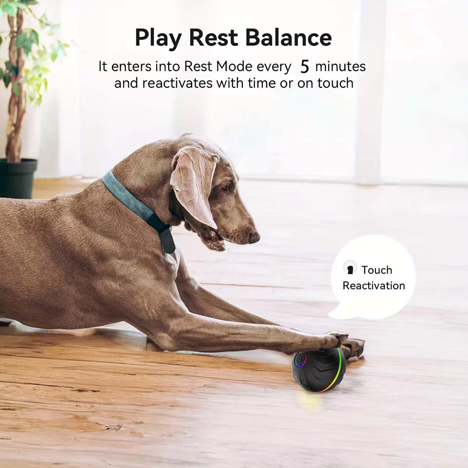 Interactive Smart Dogs Toys Ba - Automatic Moving Dog Ball 评论和价格