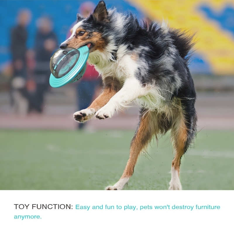 Interactive Design Dog Ball To - Dog Puzzle Feeder Toy 评论和价格