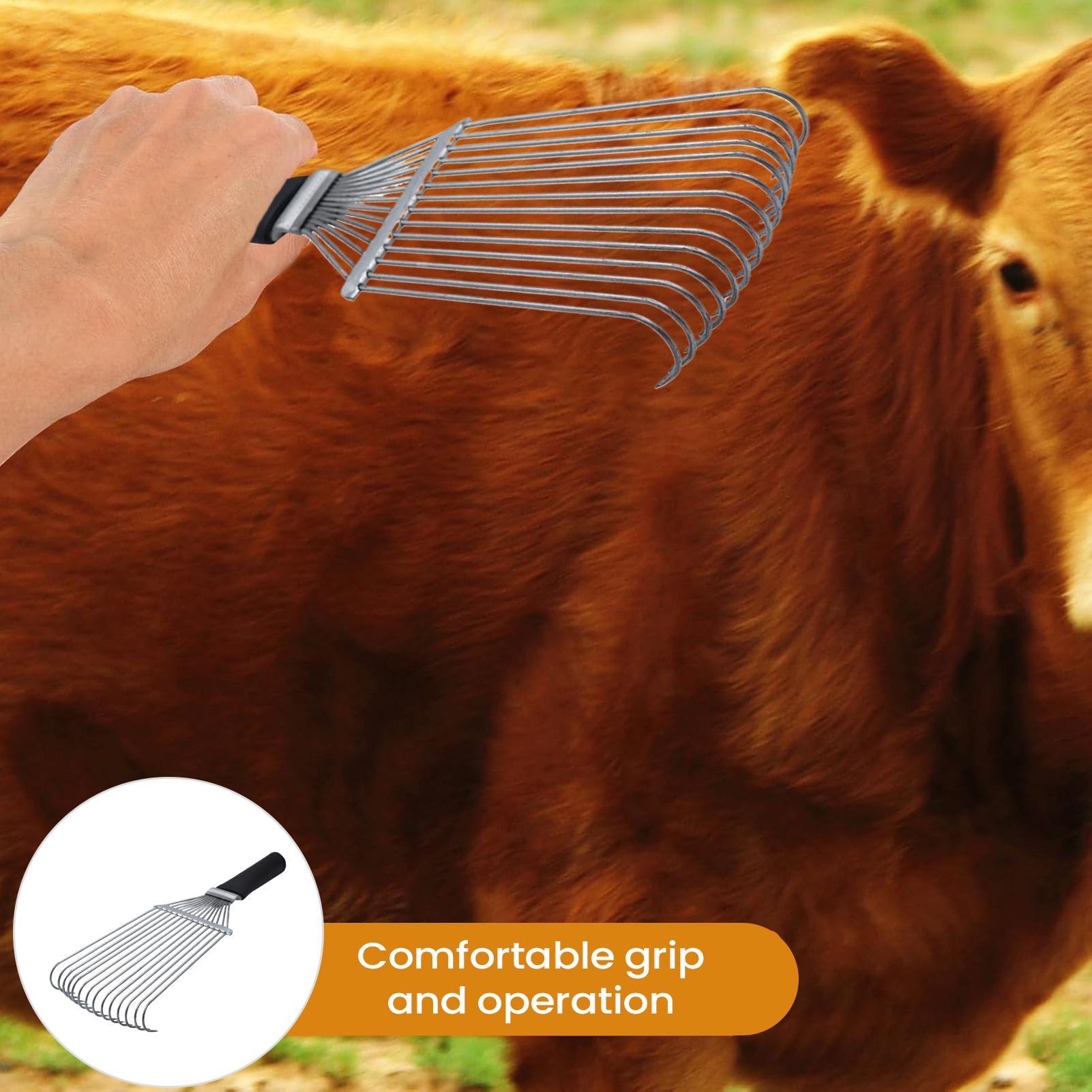 Horse Grooming Rake Shedding B - Pet Grooming 评论和价格