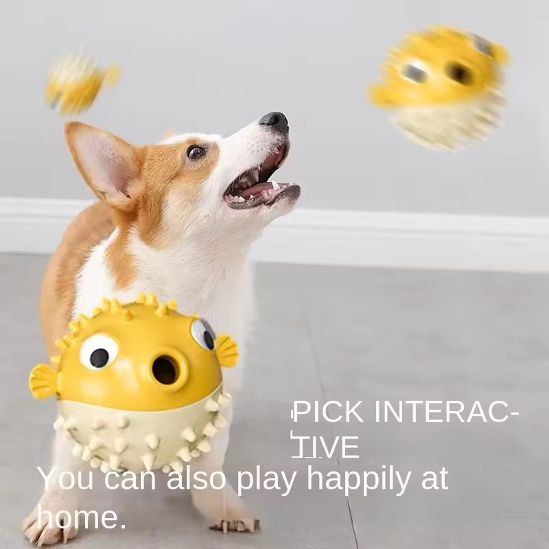 Bouncing Fish Dog Toy Built In - Rubber Treat Dispensing Dog Toy 评论和价格