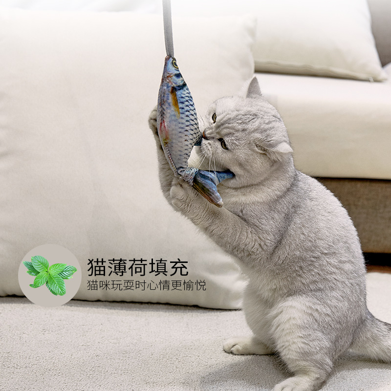 Funny Electric Moving Fish Cat - Electric Floppy Fish Dog Toy 评论和价格