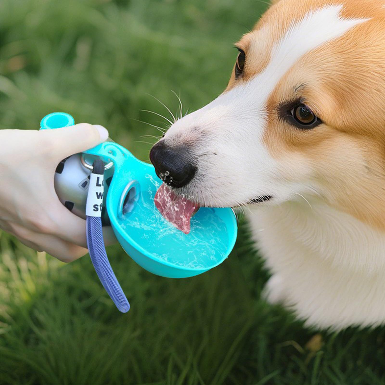 ACG Goods Portable Silicone Pe - Pet Feeders 评论和价格