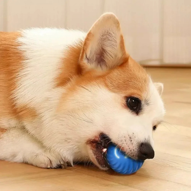 Dog Toy Ball Automatic Moving  - Suction Cup Dog Tug Toy 评论和价格