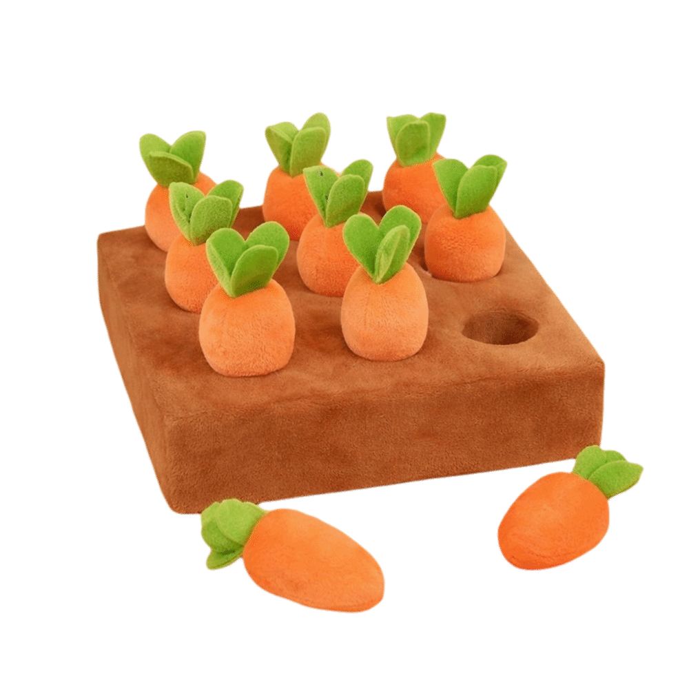 Stress Relief Carrot Snuffle M - Snuffle Mat For Dogs 评论和价格