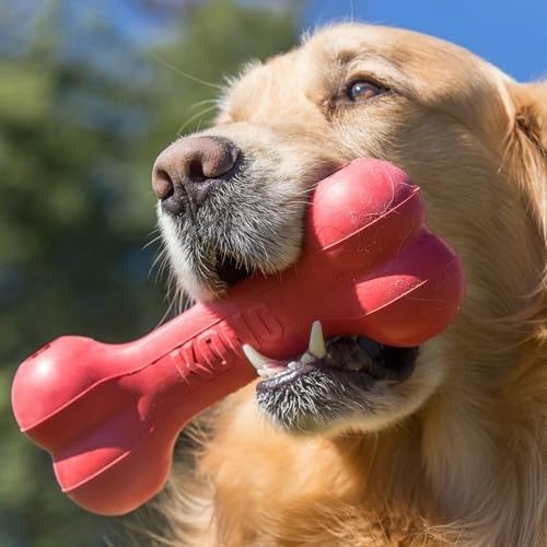 Classic Durable Natural Rubber - Rubber Treat Dispensing Dog Toy 评论和价格