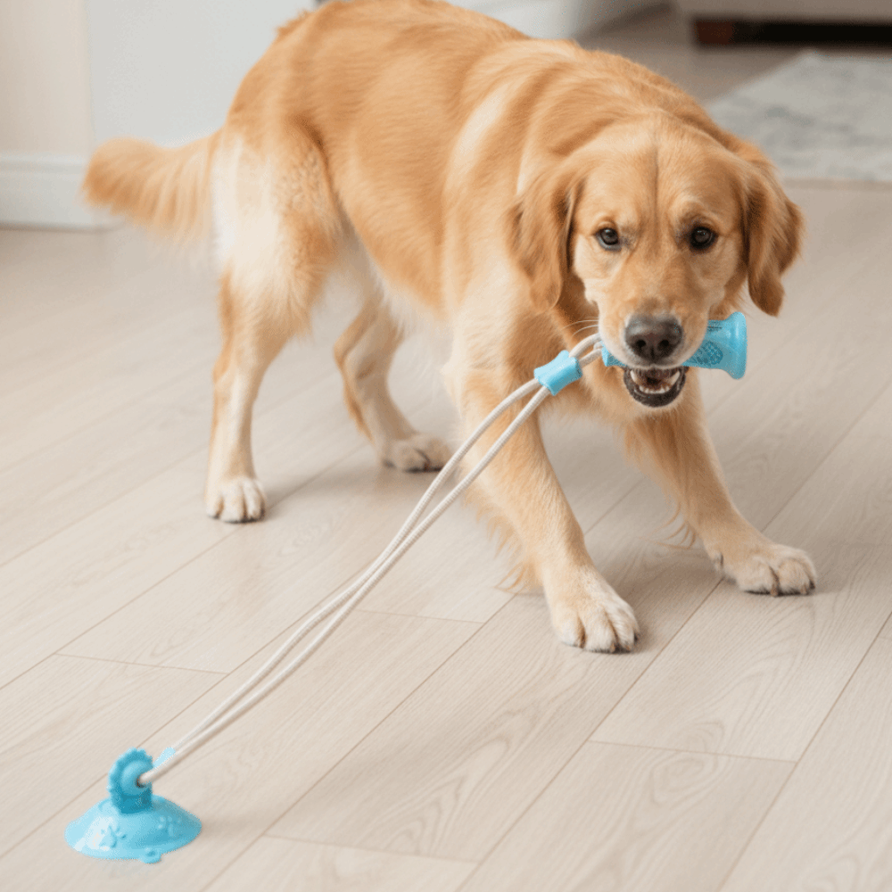 Bite-Resistant Dog Suction Cup - Suction Cup Dog Tug Toy 评论和价格