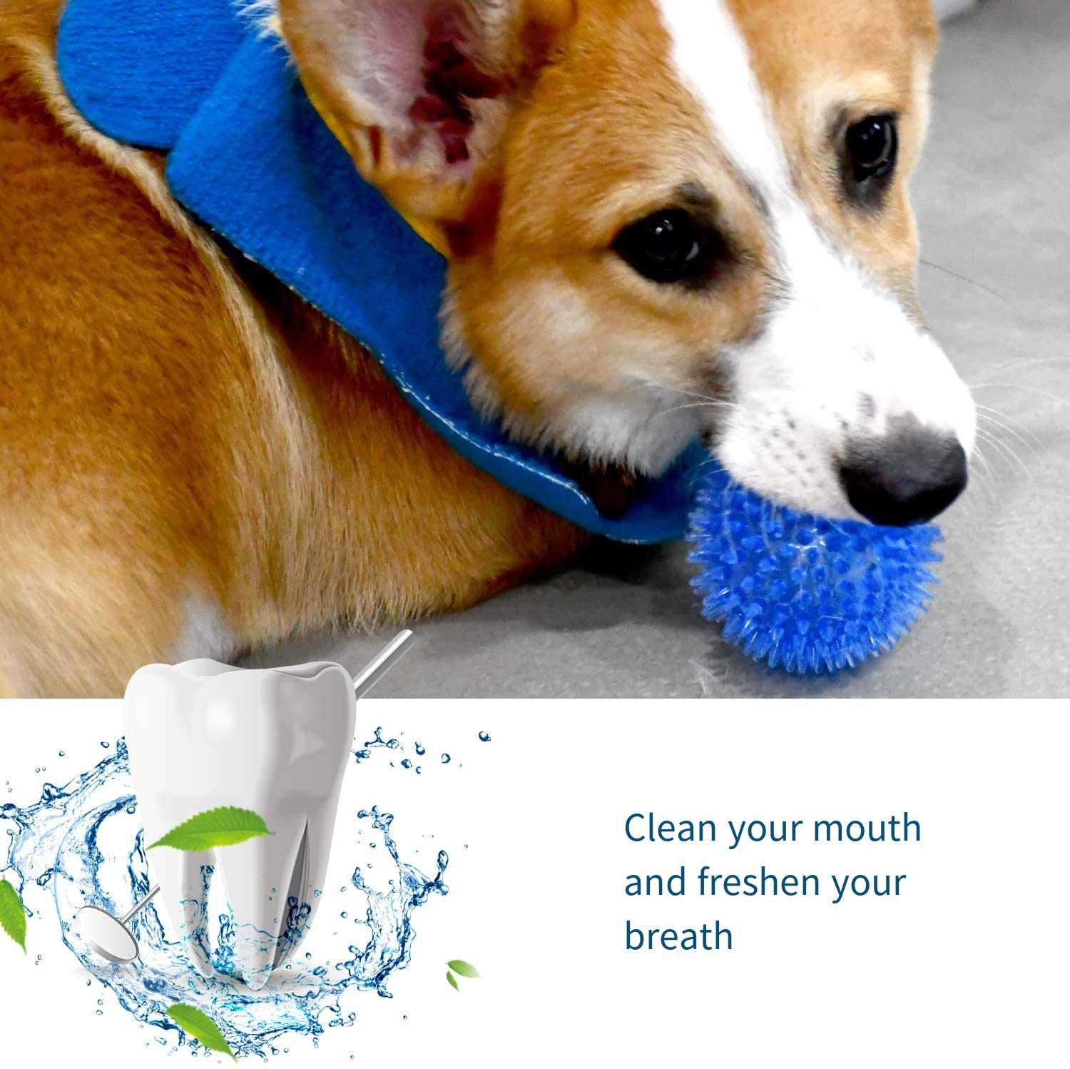 Dog Toys Sound Toy Bouncy Ball - Suction Cup Dog Tug Toy 评论和价格