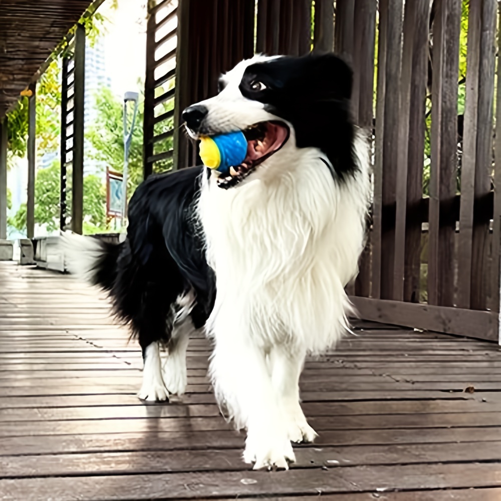 1pc Dog Toy Durable Crew Ball  - Interactive Squeaky Plush Dog Toy 评论和价格