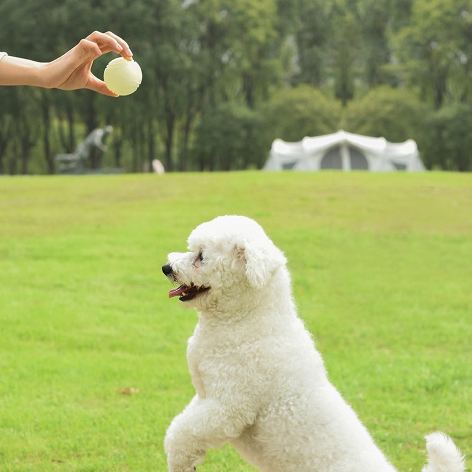 Dog Toy Balls Glow-in-the-Dark - Dog Rope Toy Aggressive Chewers 评论和价格