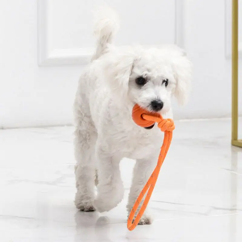 Dog Training Ball on Rope Cott - Suction Cup Dog Tug Toy 评论和价格