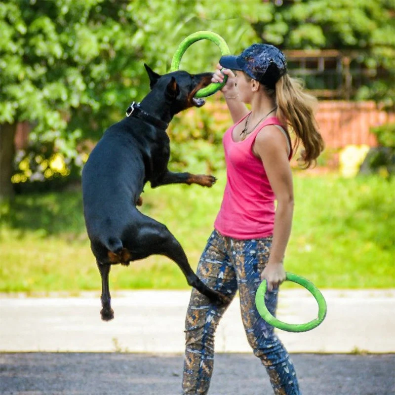 Dog Toys Pet Flying Discs EVA  - Flying Disc Dog Training Toy 评论和价格