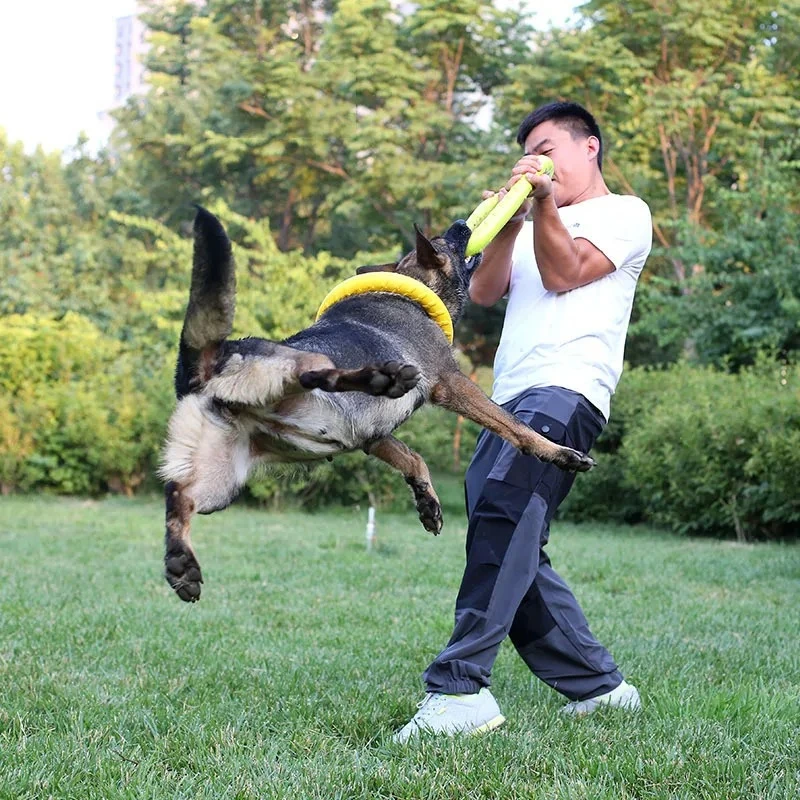 Dog Toys Pet Flying Discs EVA  - Flying Disc Dog Training Toy 评论和价格