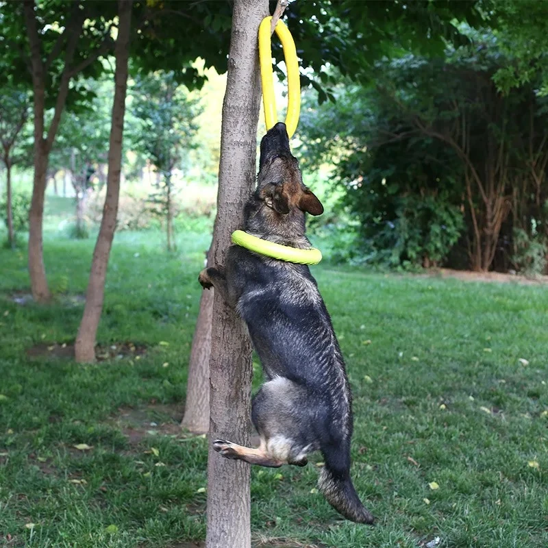 Dog Toys Pet Flying Discs EVA  - Flying Disc Dog Training Toy 评论和价格
