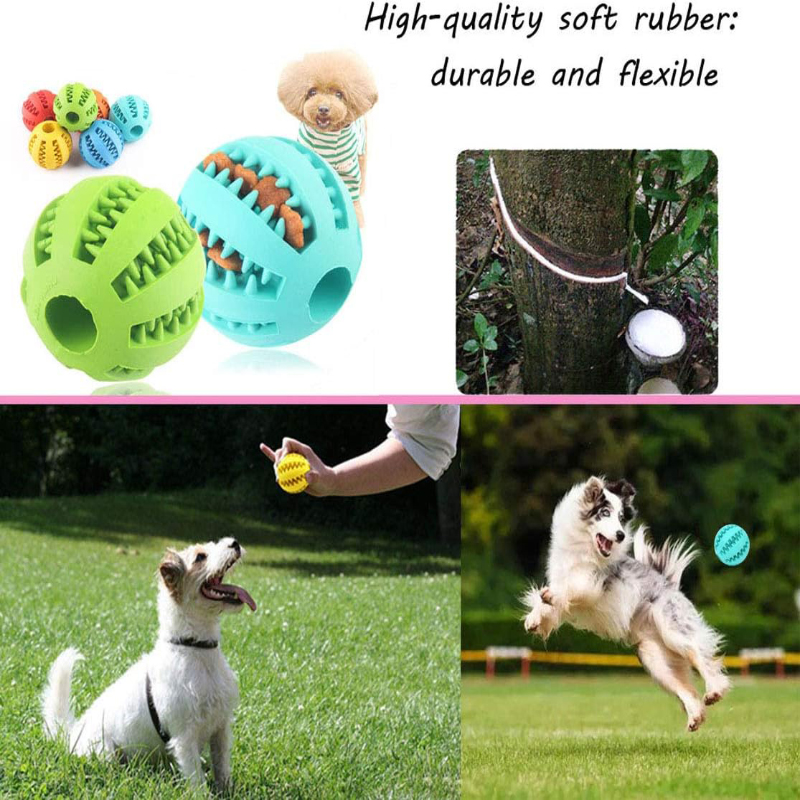 Interactive Nontoxic Bite Resi - Dog Puzzle Feeder Toy 评论和价格