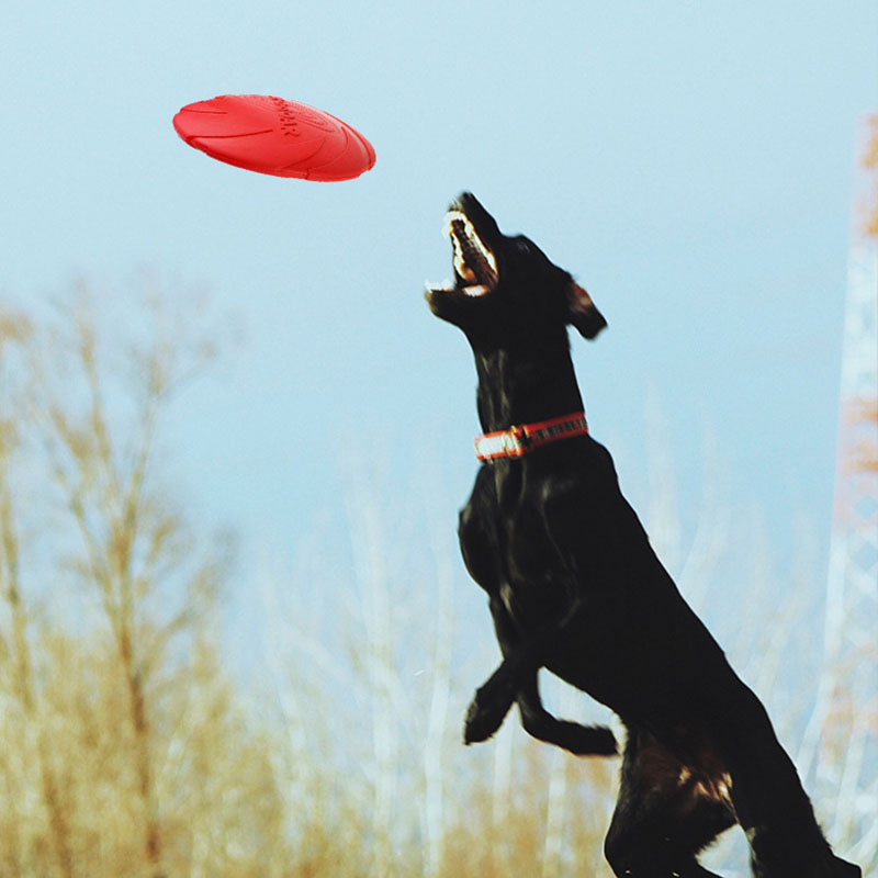 Rubber Pet Dog Flying Discs Sa - Flying Disc Dog Training Toy 评论和价格