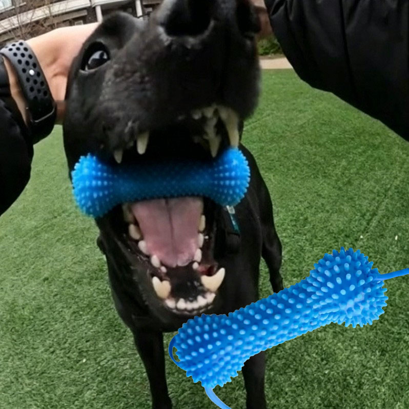 Dog Toothbrushing Toy Suction  - Rubber Treat Dispensing Dog Toy 评论和价格