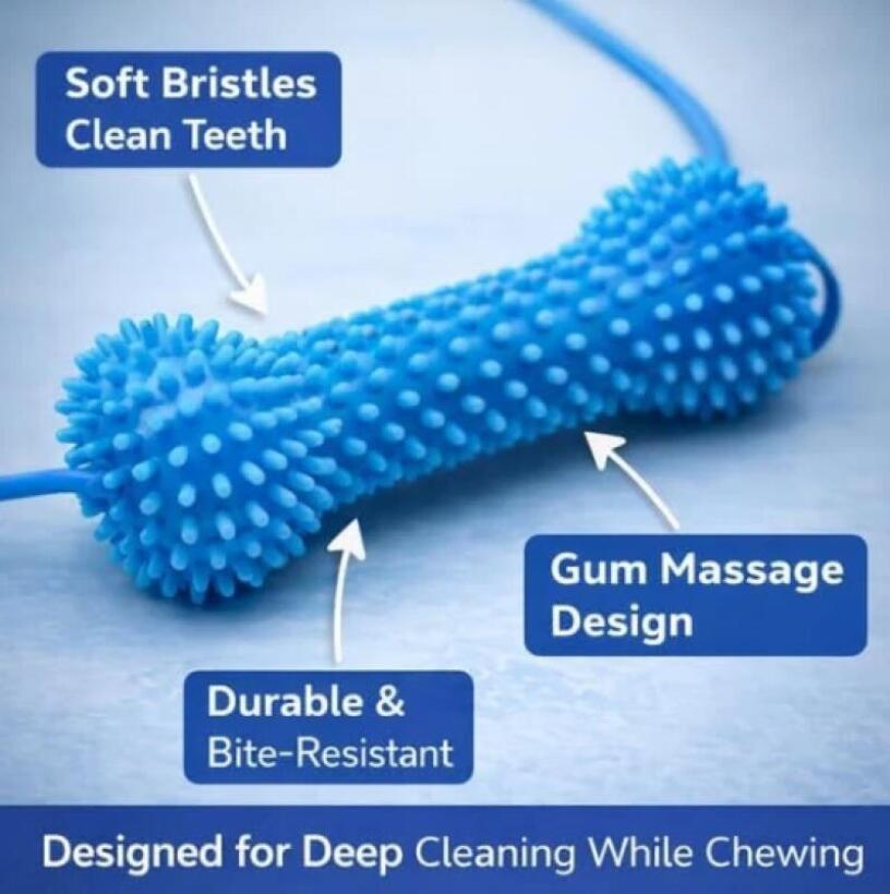 Dog Toothbrushing Toy Suction  - Rubber Treat Dispensing Dog Toy 评论和价格