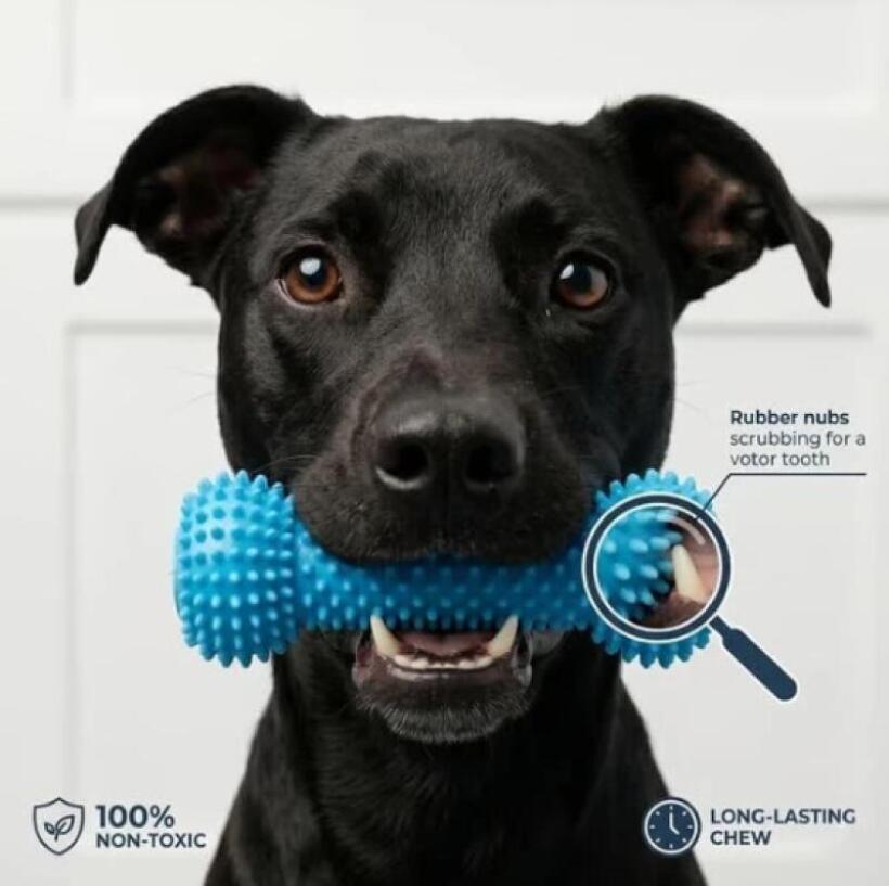 Dog Toothbrushing Toy Suction  - Rubber Treat Dispensing Dog Toy 评论和价格