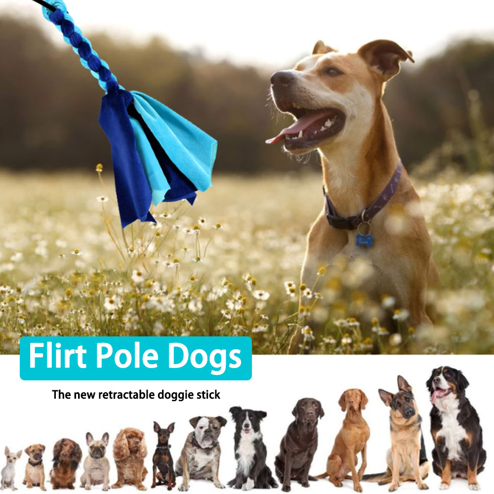 Retractable Dog Stick Interact - Interactive Squeaky Plush Dog Toy 评论和价格