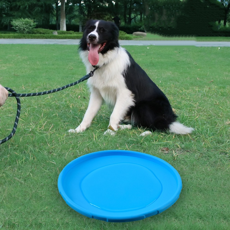 Interactive Silicone Flying Sa - Flying Disc Dog Training Toy 评论和价格