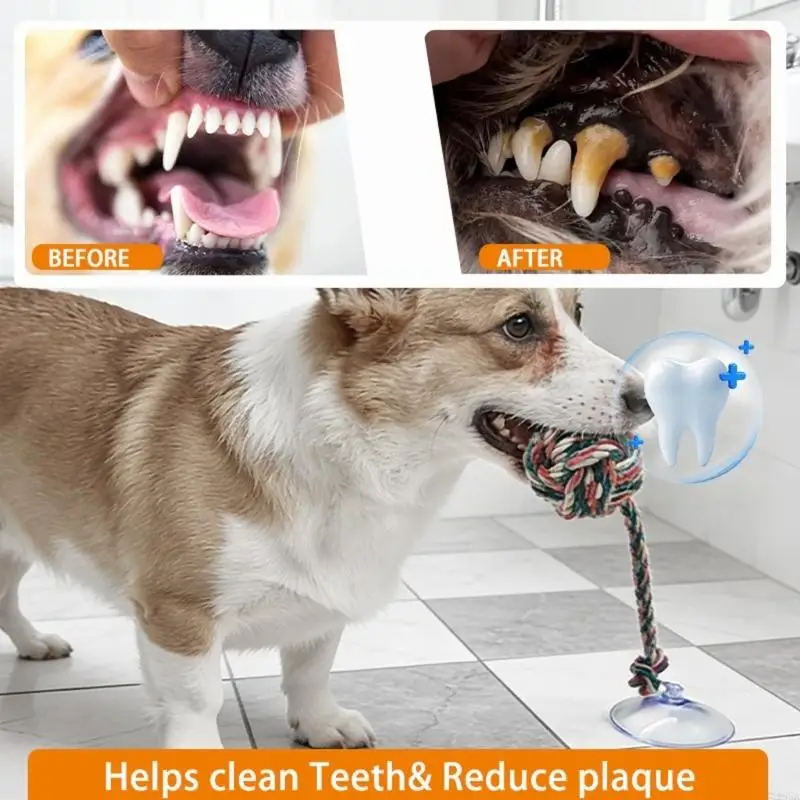 Interactive Dog Chewing Toy Tu - Suction Cup Dog Tug Toy 评论和价格