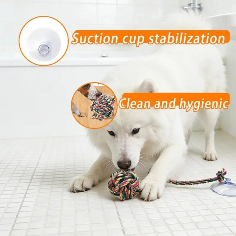 Interactive Dog Chewing Toy Tu - Suction Cup Dog Tug Toy 评论和价格