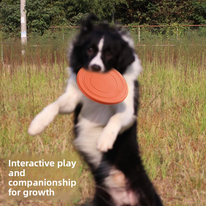Bite Resistant Floating Soft P - Flying Disc Dog Training Toy 评论和价格