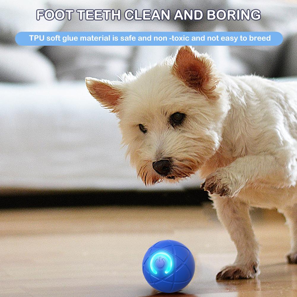 Electronic Interactive Pet Toy - Automatic Moving Dog Ball 评论和价格