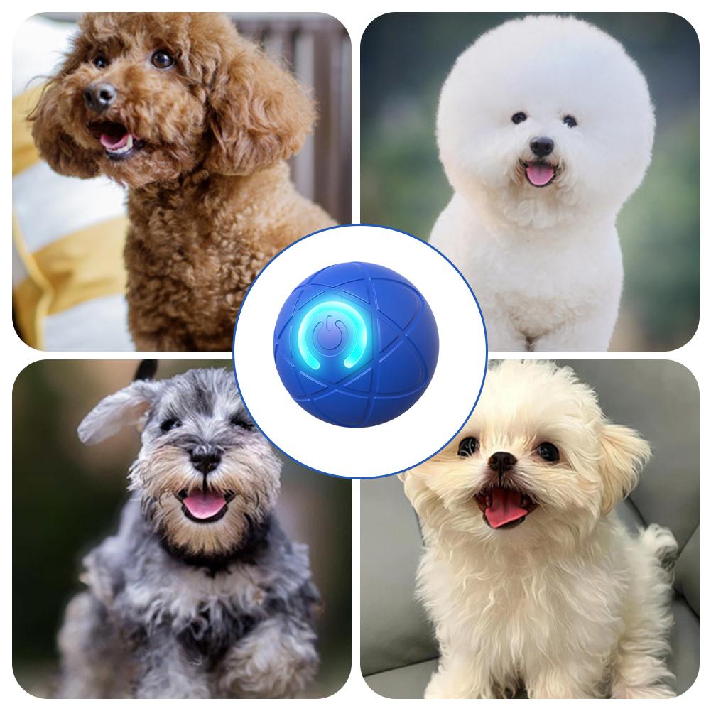 Electronic Interactive Pet Toy - Automatic Moving Dog Ball 评论和价格